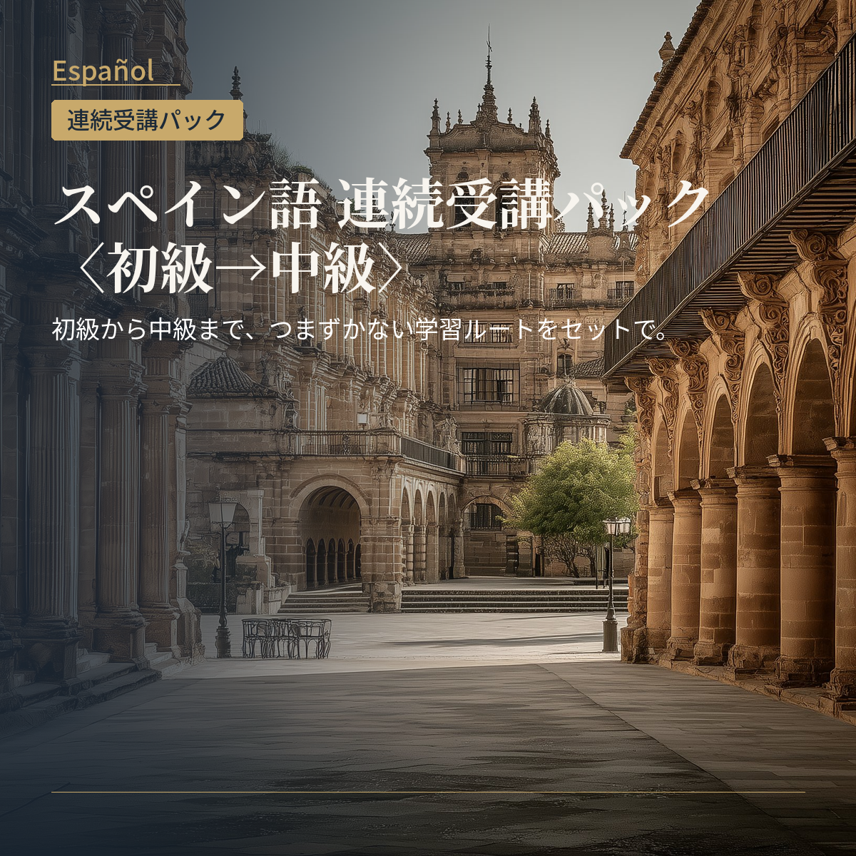 スペイン語 連続受講パック〈初級→中級〉