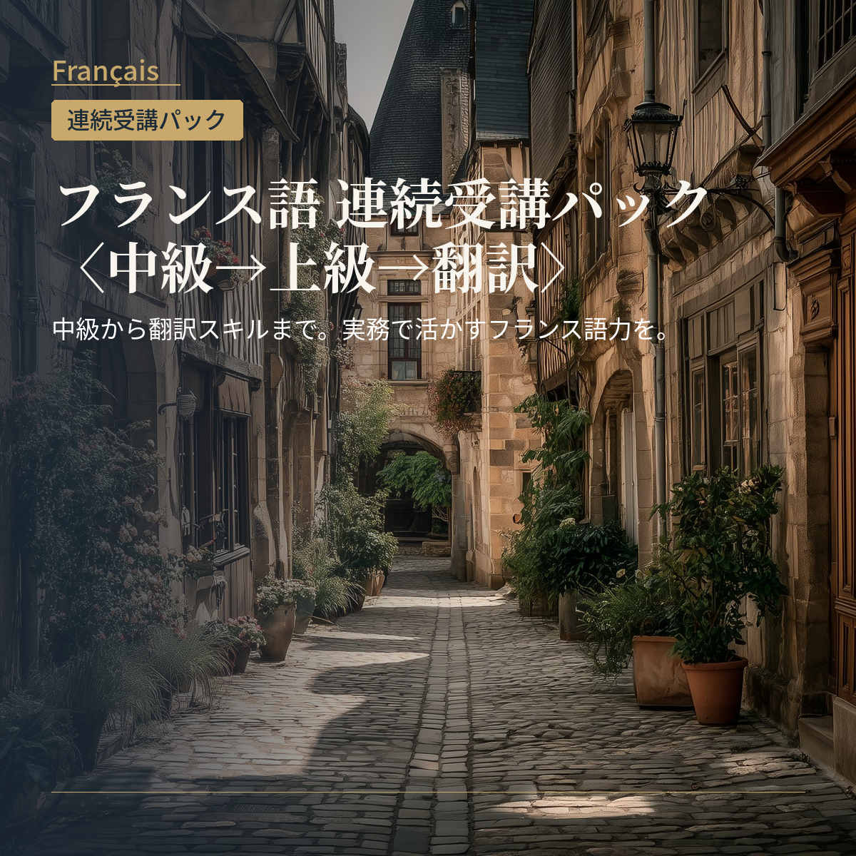 フランス語 連続受講パック〈中級→上級→翻訳〉