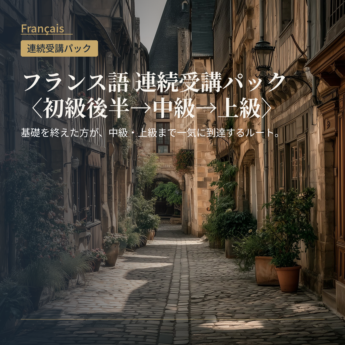 フランス語 連続受講パック〈初級後半→中級→上級〉