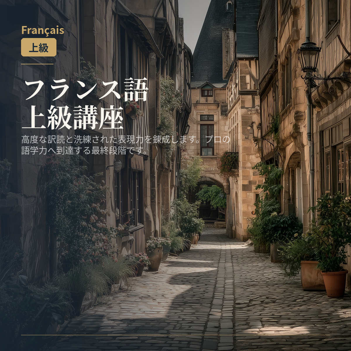 フランス語上級講座