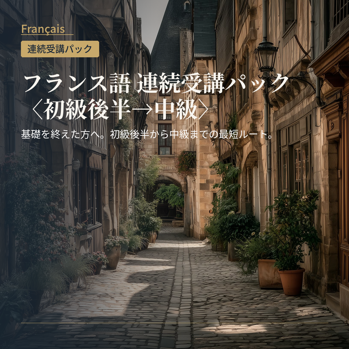 フランス語 連続受講パック〈初級後半→中級〉