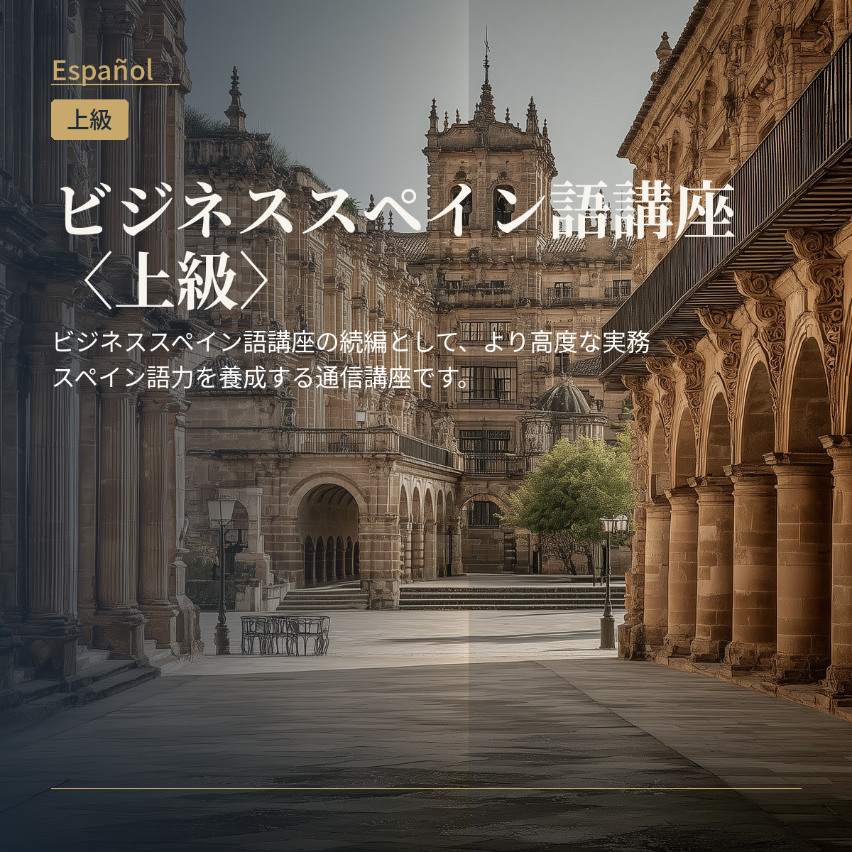 ビジネススペイン語講座〈上級〉