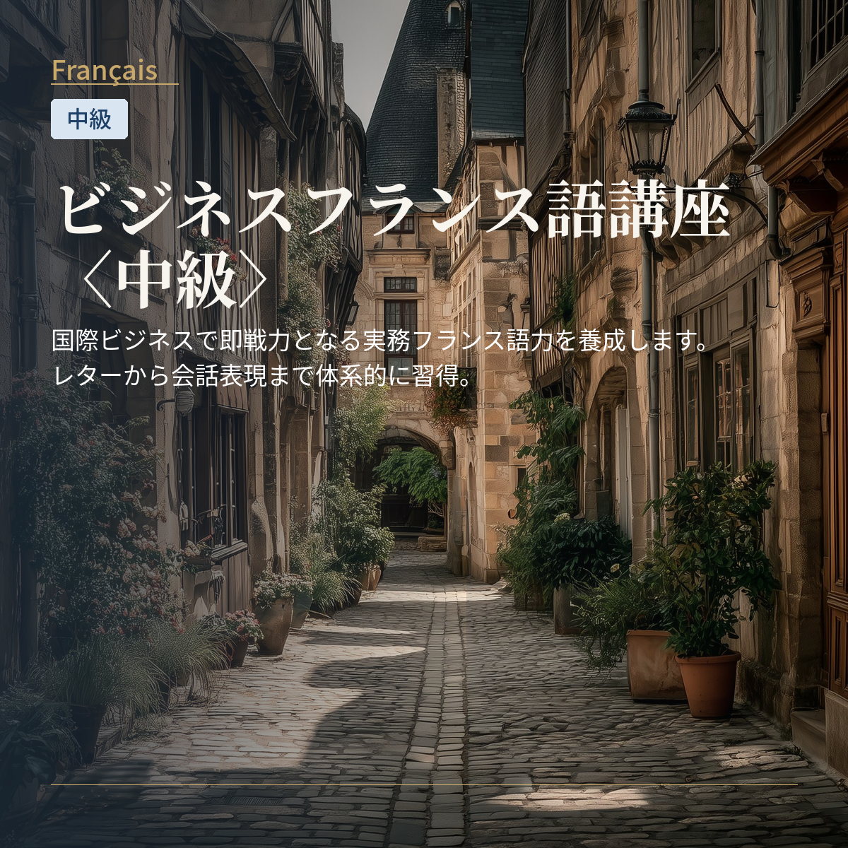 ビジネスフランス語講座〈中級〉